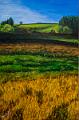 acrylique_0087 (soldout)